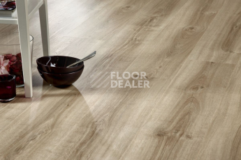 IVC Ultimo (DryBack) IVC Ultimo 24219Q фото 8 | FLOORDEALER